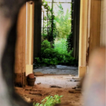 an overgrown door seen through a home in the wall